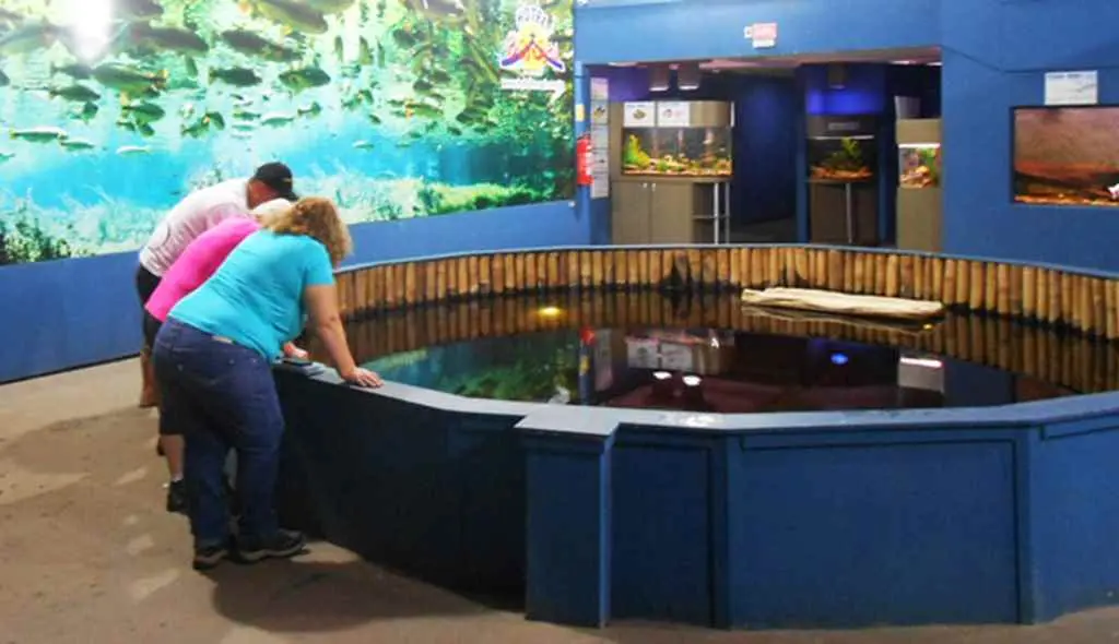 Aquário de Bonito MS