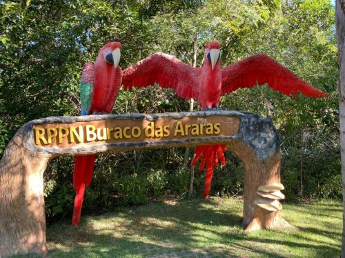 Buraco das Araras Jardim Buraco das Araras Jardim