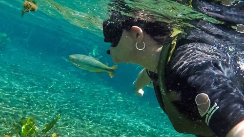 Aquário Natural Bonito Flutuação Aquário Natural Bonito Flutuação