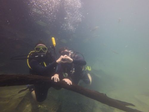 Rio da prata Mergulho Rio da prata Mergulho