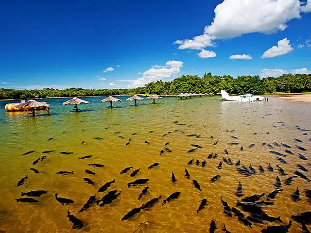 Praia da Figueira